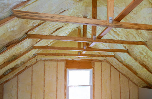 Best Soundproof Insulation Installation  in Whitmire, SC
