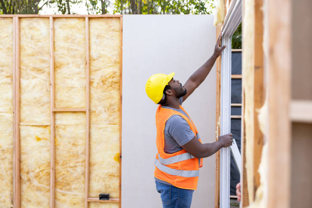 Best Professional Insulation Contractor  in Whitmire, SC