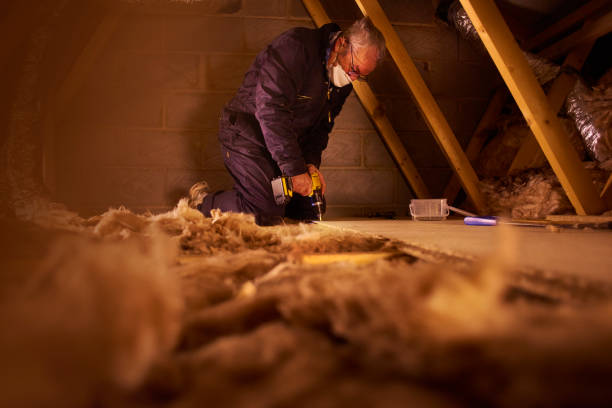 Best Insulation for New Construction  in Whitmire, SC